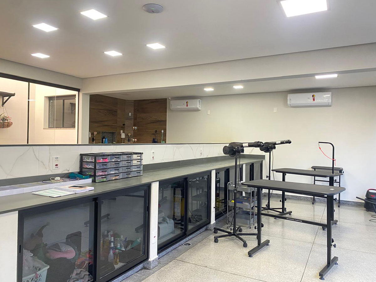 Foto da galeria PeloPet